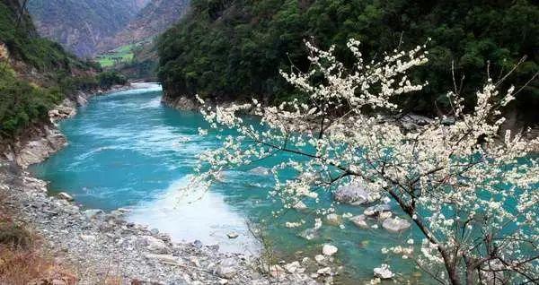 逃出海滩度假胜地