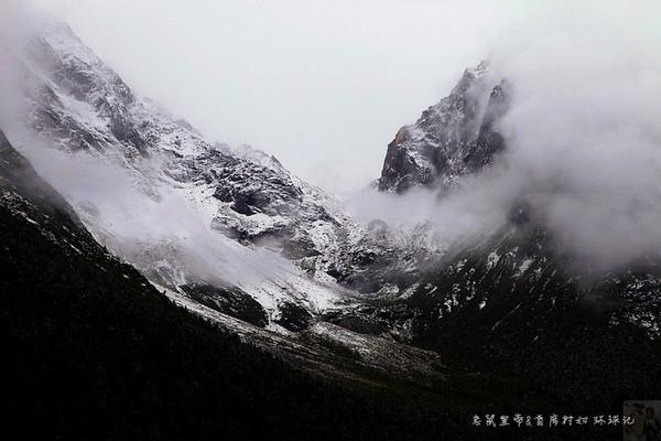 燃烧吧大脑免广告最新版