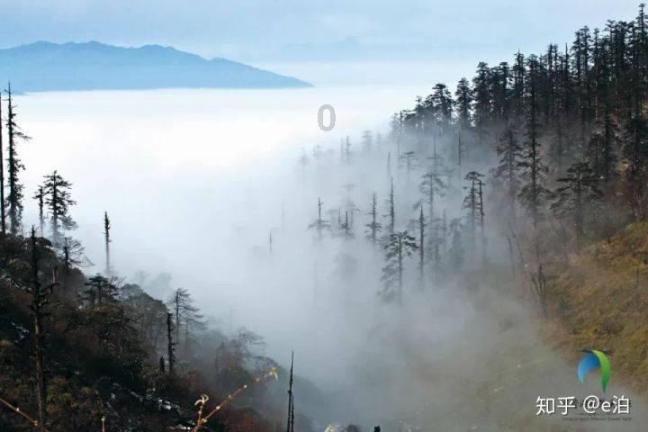 逗小猴开心系列163