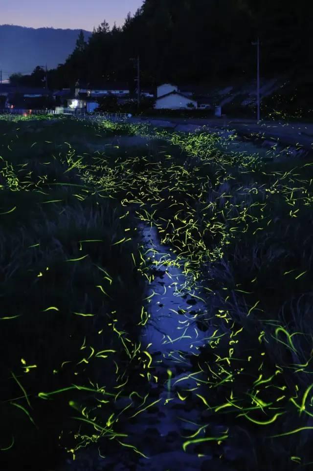 教师节大家有什么感悟吗？游戏画面