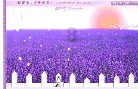 自我调养一年后,血管斑块消失!医生:关键是做好这四件事!