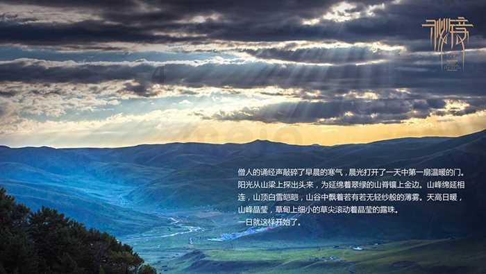 见缝插刀2