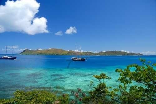 淘气兔救援