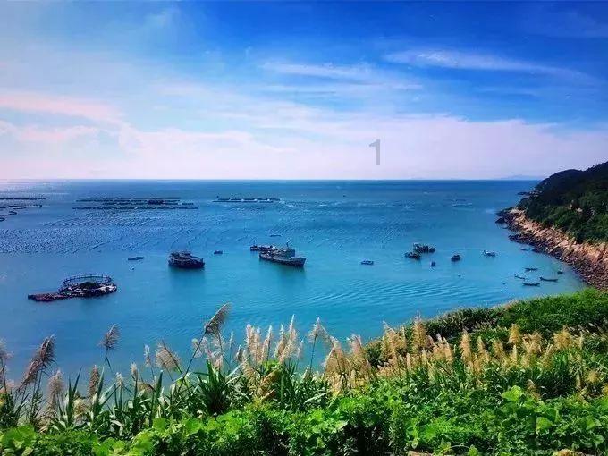 《cf》沙漠玫瑰返场时间介绍