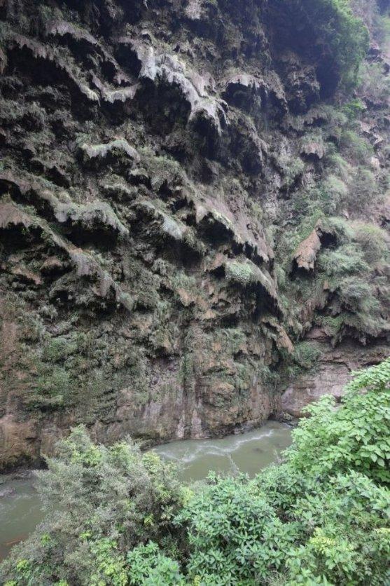 天气晴好 野鸭在湖面集体“列队巡航”