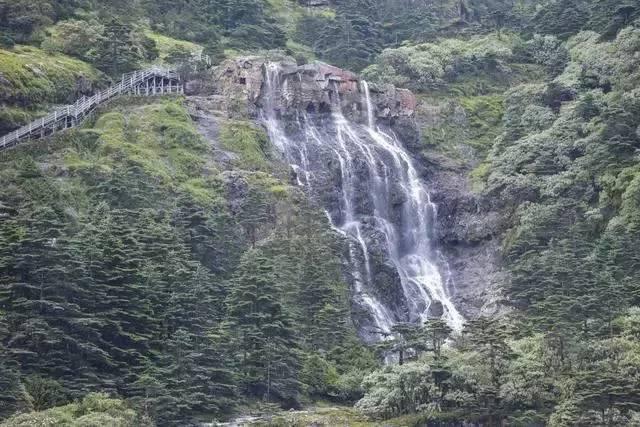 学校在疫情期间为什么要求在易班上进行打卡游戏画面