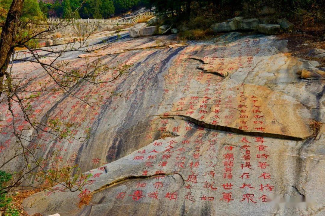 逃离蓝色之林
