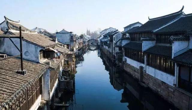 养月季最怕患上红蜘蛛，有什么好方法根治，阶段不同方法不同，是真的吗？