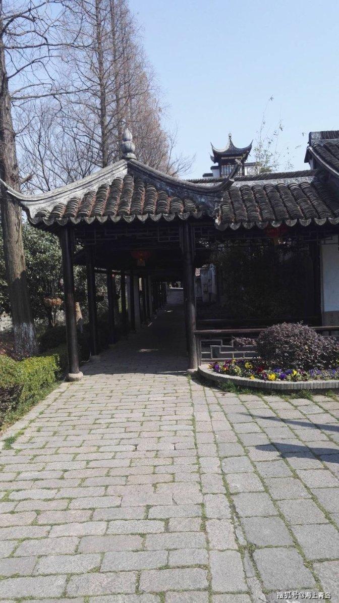 空洞骑士