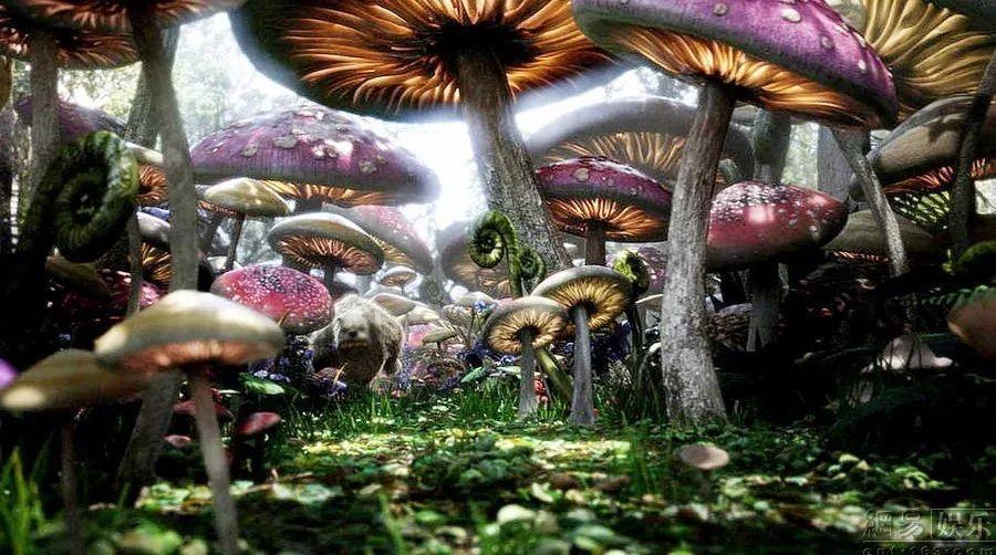 前秦风云：15、云龙之变︳第十一节：姚襄之死
